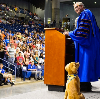 Illustration for article titled Tulsa's Puppy Mascot Will Be The Best Part Of College Football Season